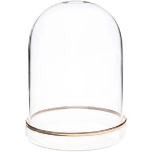 Plymor 3" x 4" Glass Display Dome Cloche (Gold Rim Glass Tray Base) - Picture 1 of 3