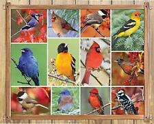 Springbok 100 Piece Jigsaw Puzzle Songbirds - Made in USA