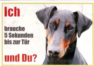 Cartello segnaletica cane Dobermann testa frontale 21 x 15 cm laminato - Foto 1 di 1