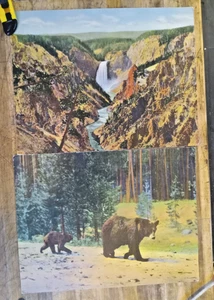 LOT OF 4 Yellowstone Park SCENES Curteich 1940s Linen Colortone GIANT POSTCARDS - Bild 1 von 2