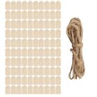 100 Pcs Wood Tag, 2.7 x 1.5 Inch Unfinished Wooden Tags with Hole,for3001