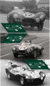 Decals Jaguar D Type Le Mans 1954 1:32 1:43 1:24 1:18 calcas