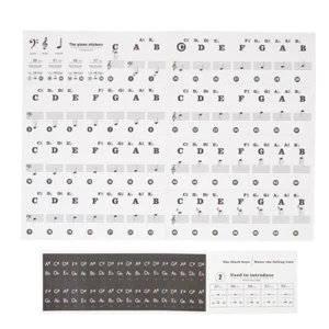 Klavier Keyboard Noten-Aufkleber Tasten Piano Sticker Keyboard Lernen Für Kinder - Bild 1 von 1