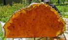 Gold AMBOYNA BURL LUMBER Live Edge Resin Epoxy Table Top Natural Slab Wood DIY