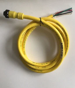 Allen Bradley 889N-F4AFC-6F Micro Cordset 600V, 10A, 4-Pin - Picture 1 of 7