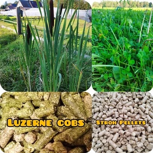 Heucobs Speedcobs Strukturcobs Magenwohl Stoffwechsel+ 15kg 8mm - Bild 1 von 3