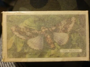 50% OFF BUTTERFLIES AND MOTHS 1938 "Gallaher" Complete Set in ORIGINAL WRAPPING - Picture 1 of 4