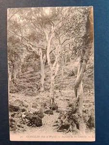 ISLE OF WIGHT - SHANKLIN - ANTIQUE POSTCARD LL No. 30 B\W - Picture 1 of 2