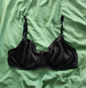 Jennifer Lopez Navy Blue Lace Bra Underwired Size 38B Semi Sheer - Picture 1 of 10
