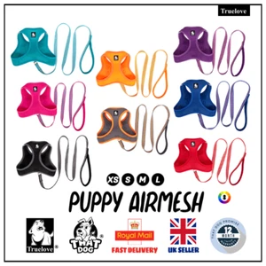 Puppy Dog Stepin Harness with Lead Truelove Pink Red Orange Blue Purple XS S M L - Picture 1 of 38