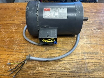 Dayton 3N473G, Motor trifásico RPM-3450/2850, 60/50 Hz, HP-1.5 Foto 1 de 4