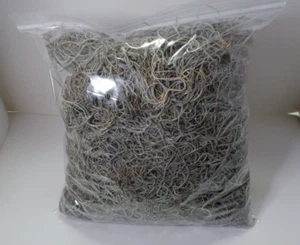 Fresh Live Spanish Moss from Louisiana Swamp Cypress - 1 Gallon size - Priority - Picture 1 of 8