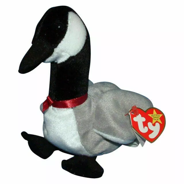 Ty Beanie Babies Baby 1997 LOOSY the GOOSE con todas las etiquetas originales NUEVO CON ETIQUETAS RARO PÁJARO Foto 1 de 1