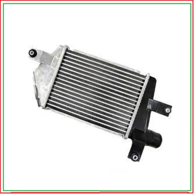 Radiatore scambiatore aria/aria Intercooler Per Mitsubishi L200 05- Pajero sport - Immagine 1 di 4