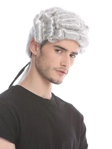 Baroque Men's Wig Aristocrat Lord Richter Dichter Grey Curly Long Plait - Picture 1 of 8