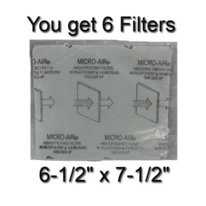 6 Bag area Filters for Electrolux Vacuum Renaissance Guardian EPIC 8000 Lux 9000 - Picture 1 of 2