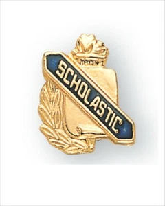 SCHOLASTIC AWARD ACADEMIC LAPEL PIN 5/8" ENAMELED CLUTCH BACK NEW BUNDLE OF 12 - Picture 1 of 1