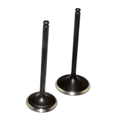 For Suzuki DRZ400 DRZ400E DRZ400S DRZ400SM 2000-2023 Intake & Exhaust Valves - Imagem 1 de 4