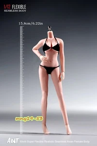 Figura súper flexible sin costuras modelo de cuerpo de soldado femenino ANT 1:12 T305B Toys - Imagen 1 de 10