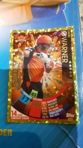 Topps 2017/18 VIVO IPl 10 Cricket Attax David Warner #173 SRH gold 100 CLUB... - Picture 1 of 2