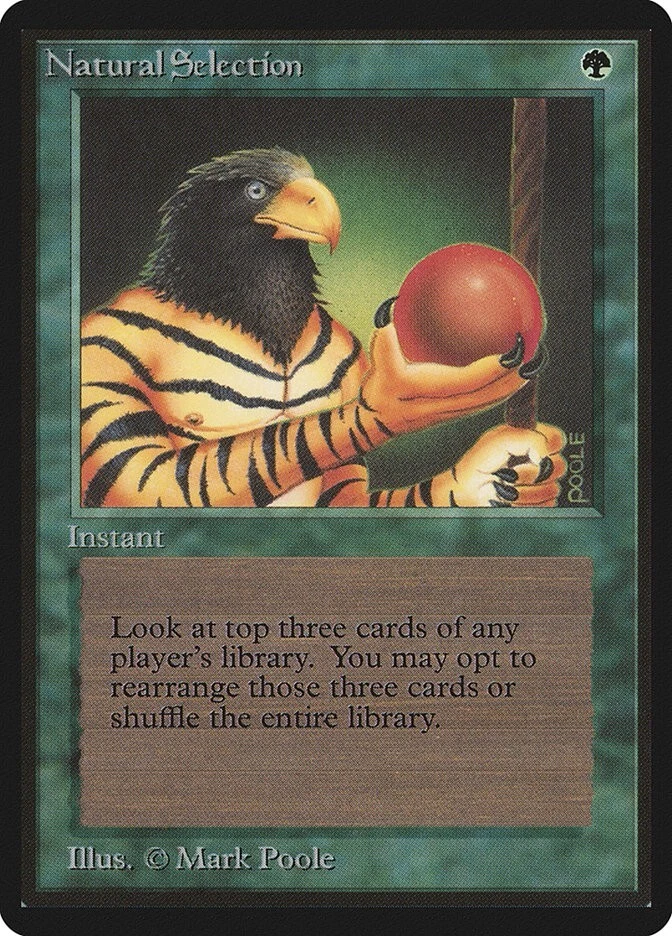 MTG Natural Selection Beta Magic the Gathering - Image 1 of 1
