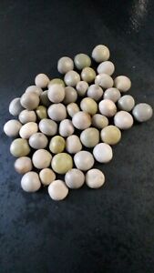 Bundle Of 48 Seeds Awale For Set Strategie Awale Africa Tradition