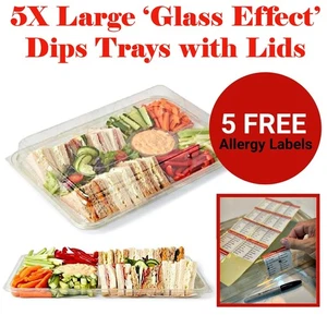 5X LARGE Sandwich Snacks CLEAR Dips Trays With Lids For Party Events Food Buffet - Picture 1 of 8