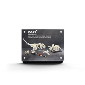 #21320 Dinosaur Fossils - Classic Display Plaques