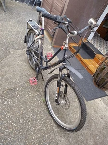 Custom Spartamet Saxonette Custom Fahrrad mit Hilfsmotor Sachs  benzin motor - Bild 1 von 18