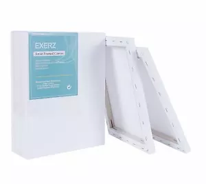 5 / 4 Pack Artist Framed Blank Canvas 40x30cm 30x24cm 40x50cm 1.7cm Stretched - Picture 1 of 79