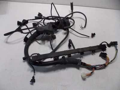 Arnés de cableado del motor BMW E46 M54 MS43 01-03 325i 325ci 325xi 330i 330ci 330xi Foto 1 de 4