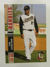 2015 Grandstand, Quad Cities River Bandits, Coach - TIM GARLAND