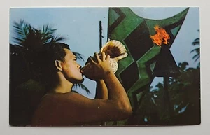 Vintage Postcard Coco Palms Hotel Hawaii Conch Shell Sounds - Picture 1 of 2