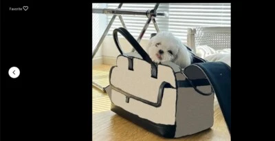 Bolsa de viaje transpirable para gato perro cachorro mascota aprobada por aerolínea Foto 1 de 4