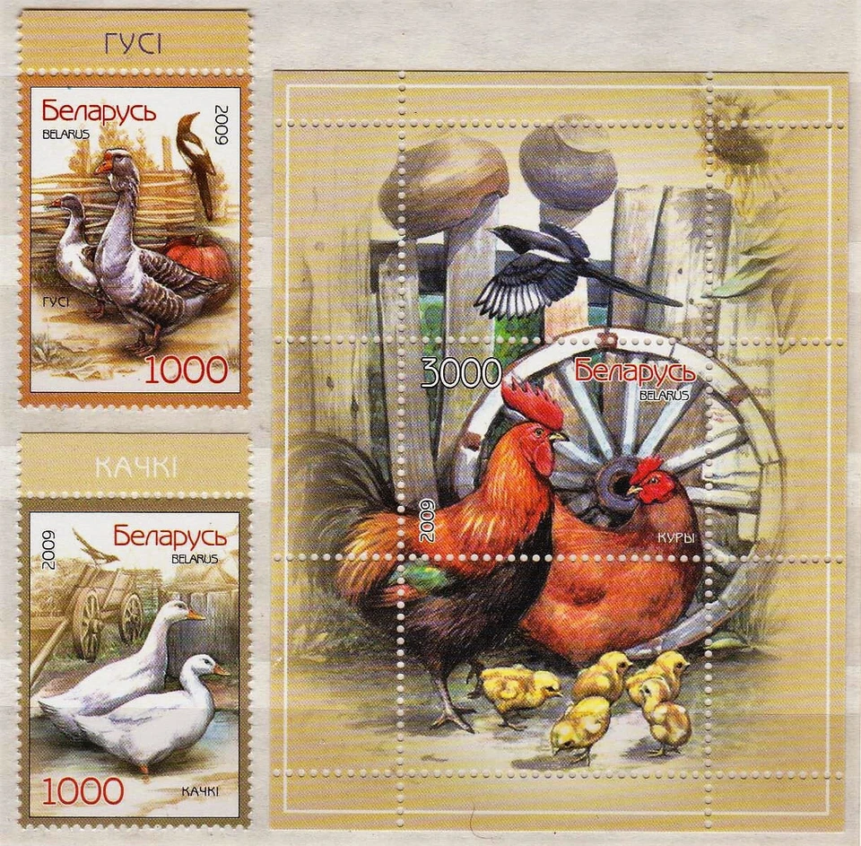 BIELORRUSIA -2009 Pájaros - Aves, Gallo y Gallina con Pollos Minishoja - Juego Completo MNH Foto 1 de 1
