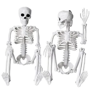 2pcs Skeleton Halloween Decoration, 16” Full Body Posable Halloween 2PCS - Picture 1 of 7