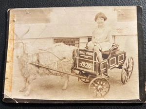 Fotografia antica giovane ragazza in carro capra Baltimora Maryland datata 1926 - Foto 1 di 3