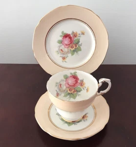 PARAGON DOUBLE WARRANT TEACUP SAUCER & PLATE TRIO PEACH TONES WITH ROSES - Picture 1 of 7