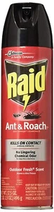 Raid Ant & Roach Killer Outdoor Fresh, 17.5 OZ (Pack - 1) - Picture 1 of 2