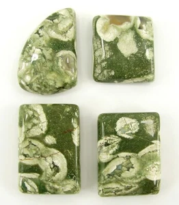 97.90 Ct Natural Green Rhyolite Gemstone 20-26 mm Cabochon 4 Pcs Stone Lot- 1507 - Bild 1 von 2