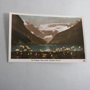 RPPC The Poppies Lake Louise Canadá Foto Real Postal Coloreada a Mano - Imagen 1 de 2