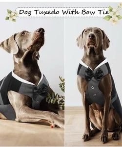 DENTRUN Dog Wedding Tuxedo   Adjustable Breathable Suit with Bow Tie & Vest XL - Picture 1 of 6