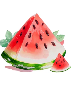 Autoaufkleber Sticker Wassermelonen Aufkleber - Picture 1 of 1