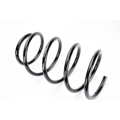 ✅ KYB COIL SPRING LEFT/RIGHT FRONT KYBRG3185 NEU DE STOCK - Bild 1 von 4