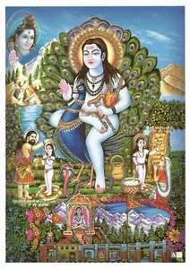Baba Balak Nath Ji Poster Home Office Temple Size: 5" x 7" www USPS shipping - Picture 1 of 1