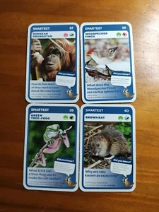 Woolworths Super Animals ( Smartest )๐#37,38,39,40 - 4 CARDS๐ - Picture 1 of 1