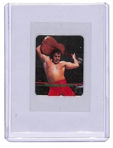 WWF HONKY TONK MAN 1988 Borden Sticker Sealed in plastic holder wwe - Picture 1 of 2
