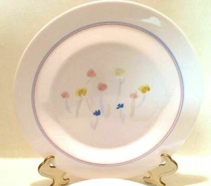 Vintage ARCOPAL Plate Glass Dinner Plates France Set of 4 - Picture 1 of 5