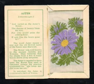 KENSITAS Silk Flowers Wix Tobacco 1st series small ASTER Folder B - Picture 1 of 2