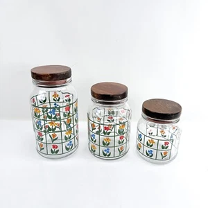 3 Vintage Nina Greenhouse Colorful Anchor Hocking Flower Glass Canisters Set - Picture 1 of 12